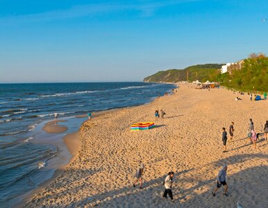 Miniatura: Co denerwuje Polaków na plażach? Wyniki...