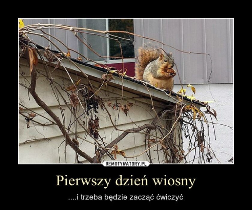 życzenia Z Okazji Pierwszego Dnia Wiosny Memy z okazji pierwszego dnia wiosny - galeria, zdjęcie 3