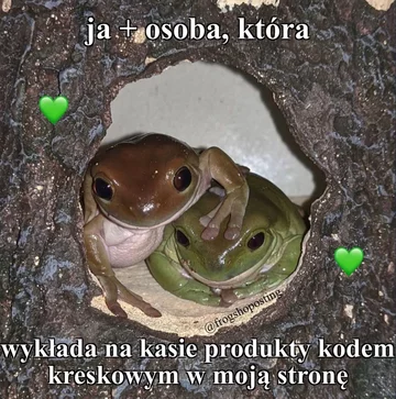 Mem frogshoposting 