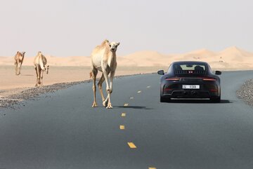 Hybyrydowe Porsche 911