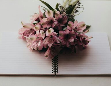 Miniatura: Quiz ortograficzny z jednym dylematem. H...