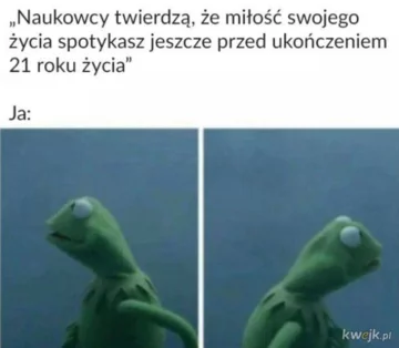 Mem na Dzień Singla 