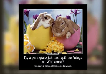 Świąteteczne memy 