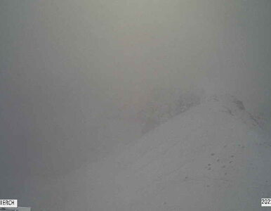 Miniatura: Śnieg nie tylko w Tatrach. Ratownicy...