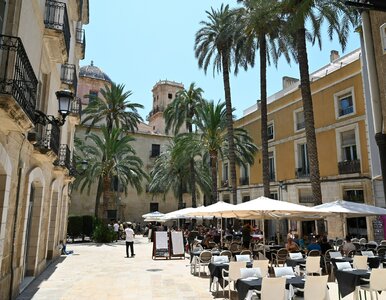 Miniatura: „Absolutny hit wśród pasażerów”. Ten...