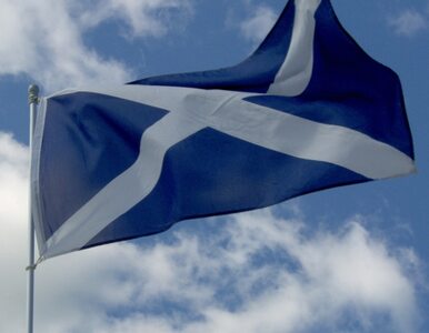 Miniatura: "Niepodległość Szkocji może być kosztowna...