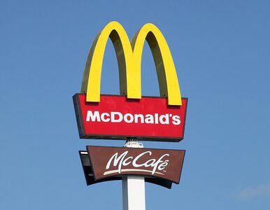 Miniatura: McDonald's będzie miał konkurencję. Nowy...