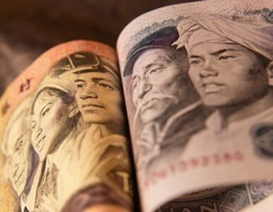 Miniatura: Chiny odchodzą od dolarów