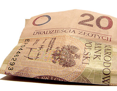 Miniatura: Złoty troszeczkę się umocnił