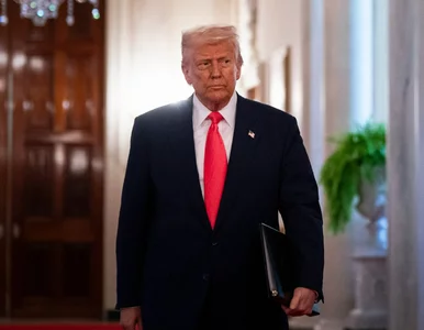 Miniatura: Trump nie gryzł się w język. „Te kraje...