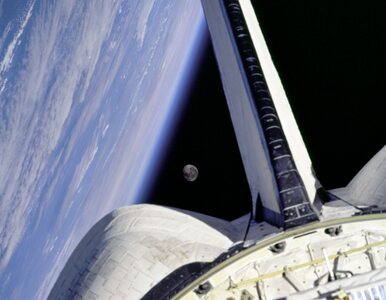 Miniatura: Musk wyśle turystów w kosmos. Lot wokół...