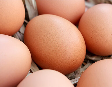 Miniatura: Najwięcej jaj zjadają emeryci i rolnicy