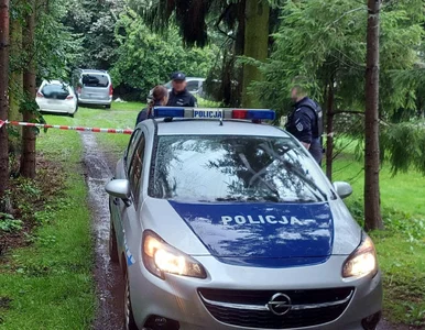 Miniatura: Syn zamordował rodziców w Janikach...