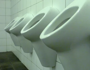 Miniatura: Polak wynosi z pracy herbatę, beton i......