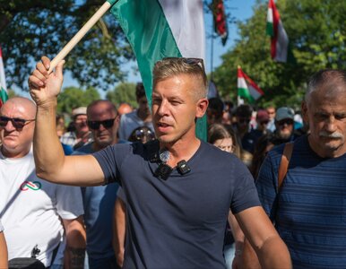 Miniatura: Nowa twarz buntu na Węgrzech. Człowiek,...