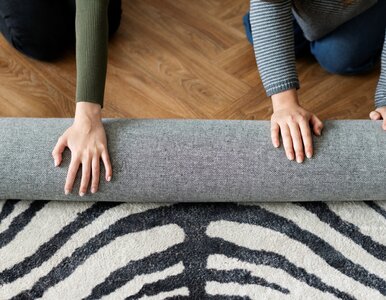 Miniatura: Zrób to z dywanem zimą. Podłoga przestaje...