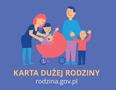 Miniatura: Wprowadzają Kartę Dużej Rodziny. Zniżki...