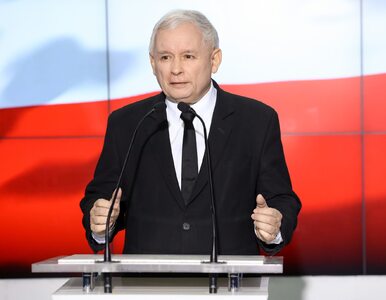 Miniatura: Jarosław Kaczyński: To prawda, że ja...