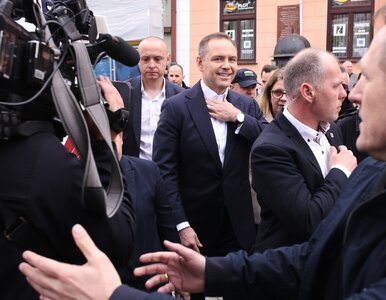 Miniatura: Kawalerka niczym ośmiorniczki. „Jeden...