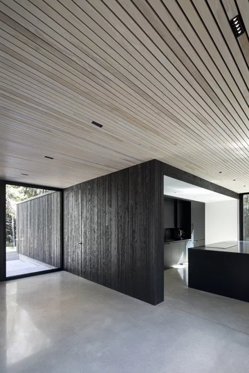 The Apple Tree House, proj. ACDF Architecture 