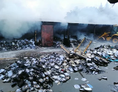 Miniatura: Gigantyczny pozew o odszkodowanie...