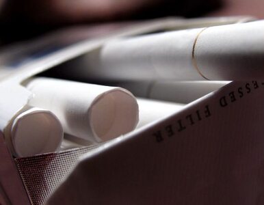 Miniatura: Nielegalne papierosy pójdą z dymem