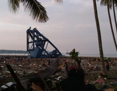 Miniatura: Silne trzęsienie ziemi i tsunami w...