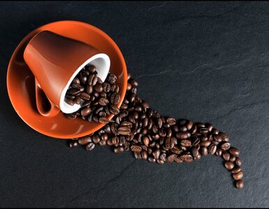 Miniatura: Wpływ kawy na trawienie i zaburzenia...
