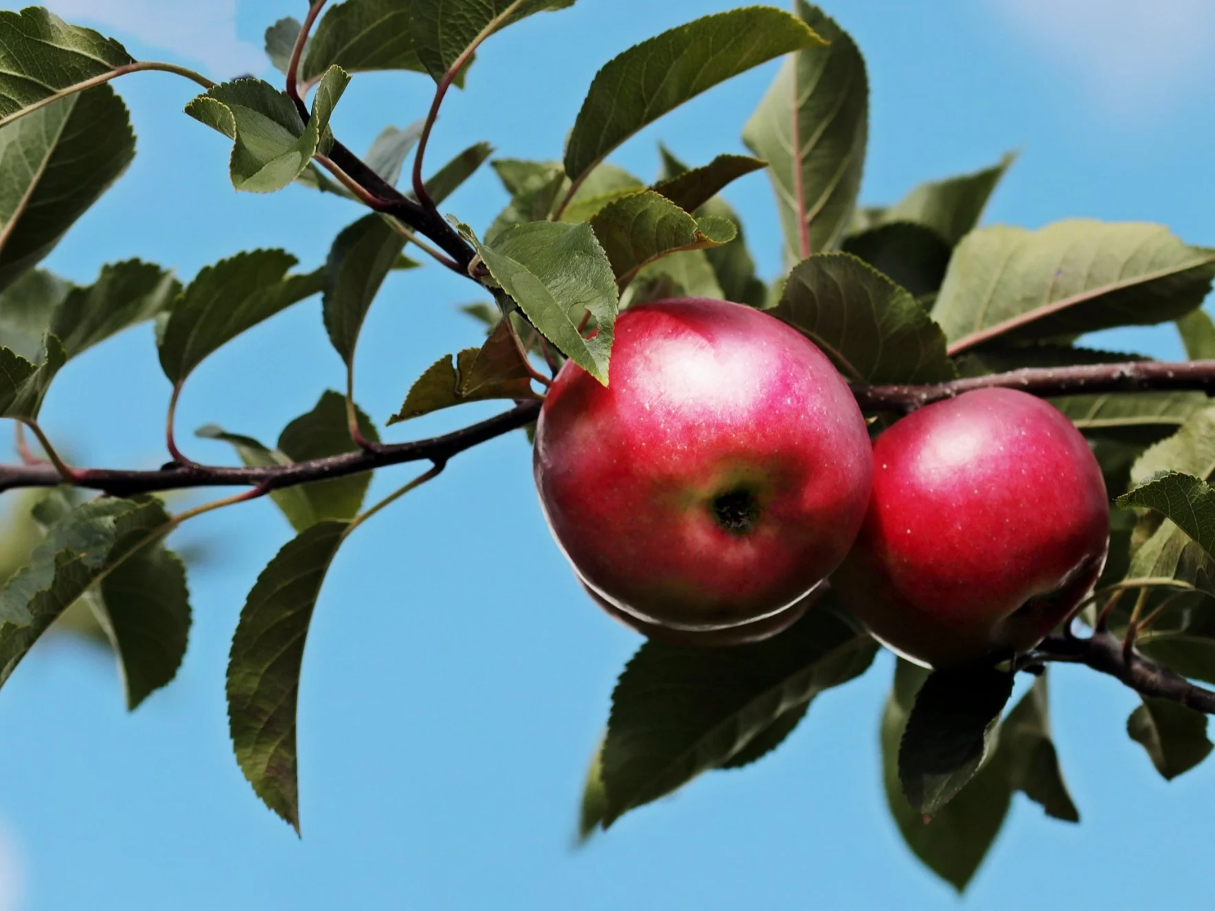 Co oznacza to przysłowie? W 3. pytaniu zaczynają się schody