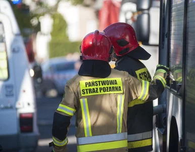 Miniatura: Trwa łapanka na strażaków, którzy mają...