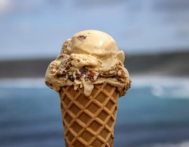 Miniatura: Skażone lody nad Bałtykiem. Sanepid...