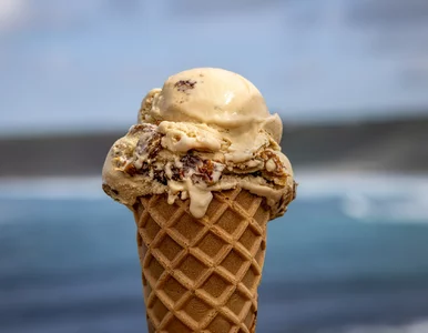 Miniatura: Skażone lody nad Bałtykiem. Sanepid...