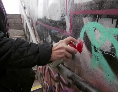 Miniatura: Zamalowywała neonazistowskie graffiti....