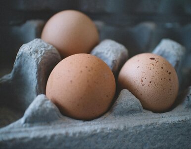 Miniatura: Wielki QUIZ o jajkach. Odpowiesz poprawnie...