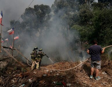 Miniatura: Tragiczny bilans pożarów w Chile. Nie żyje...