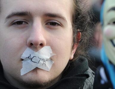 Miniatura: Rząd Niemiec: ACTA jest potrzebna i słuszna
