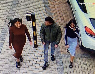 Miniatura: Nikola, Vanessa i Fabian zniknęli. Policja...