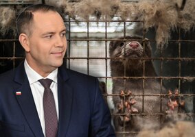 Miniatura: Miliony Polaków chcą podpisu...