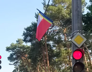 Miniatura: Hejterskie komentarze ws....