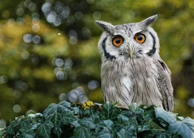 Miniatura: 6 morderczych pytań z różnych dziedzin....