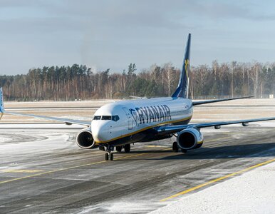 Miniatura: Drugi bilet za połowę ceny w Ryanair....