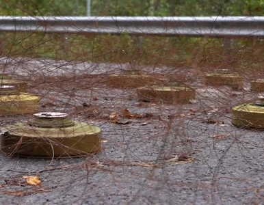 Miniatura: Polska może opuścić ważny traktat...
