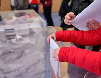 Miniatura: Wybory prezydenckie 2025: Kiedy dane o...
