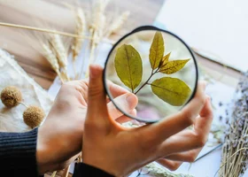 Miniatura: Szybki test z biologii. Nie wiesz tego?...