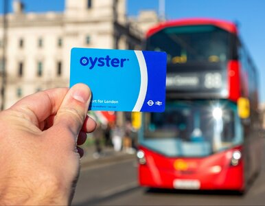 Miniatura: Mieszka w Londynie od 12 lat. Ostrzega...