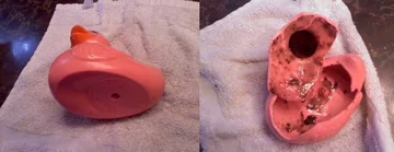 Bakterie i grzyby wewnątrz pływających zabawek 