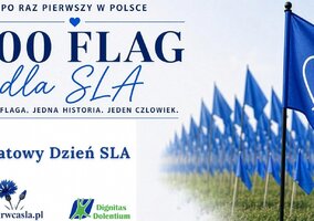 Miniatura: 800 błękitnych flag stanie na Cytadeli. Za...