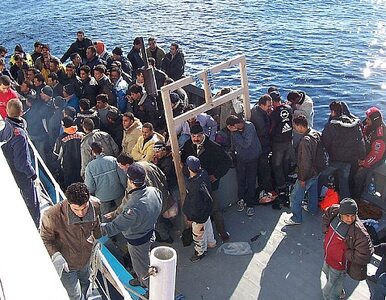 Miniatura: Kolejna fala imigrantów przybyła na Lampedusę
