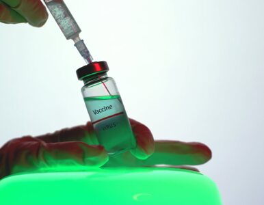 Miniatura: Wielka Brytania zatwierdziła szczepionkę...