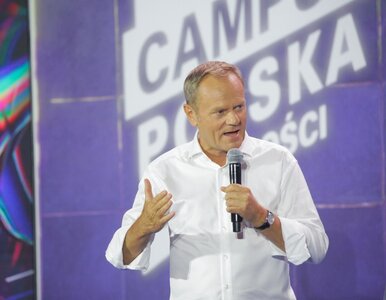 Miniatura: „Wytłumacz się z Giertycha!”. Donald Tusk...